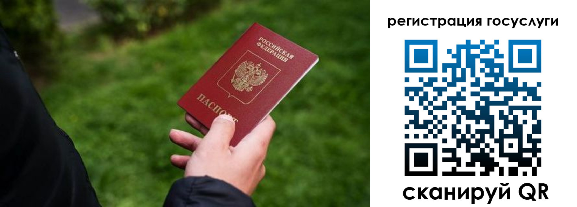прописка в Ртищево